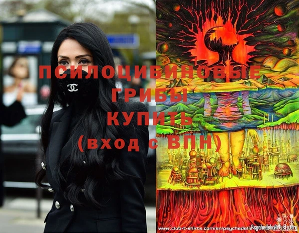 a pvp Покров