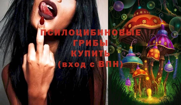 СК Абдулино
